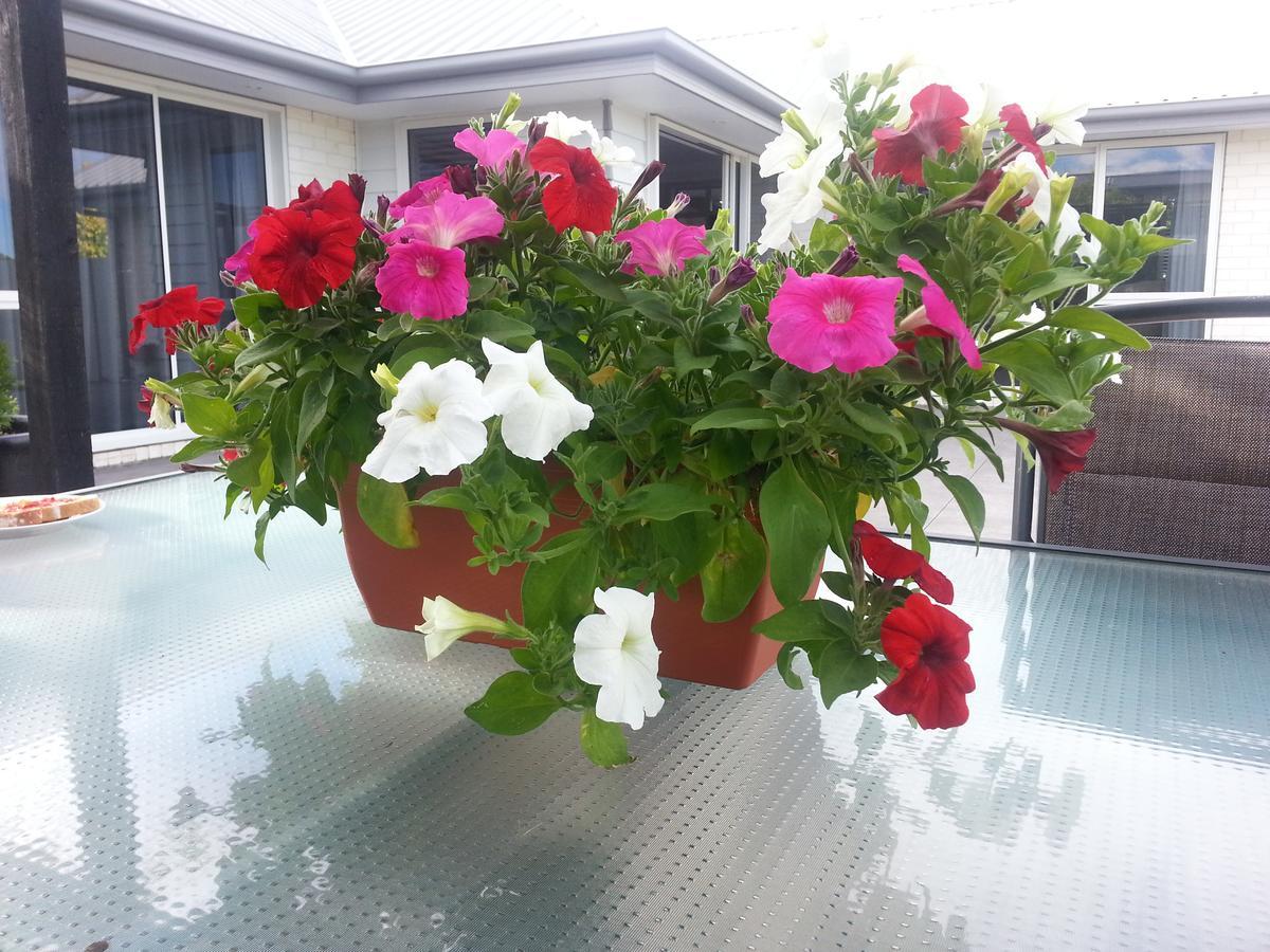 Courtenay B & B Kaiapoi ภายนอก รูปภาพ